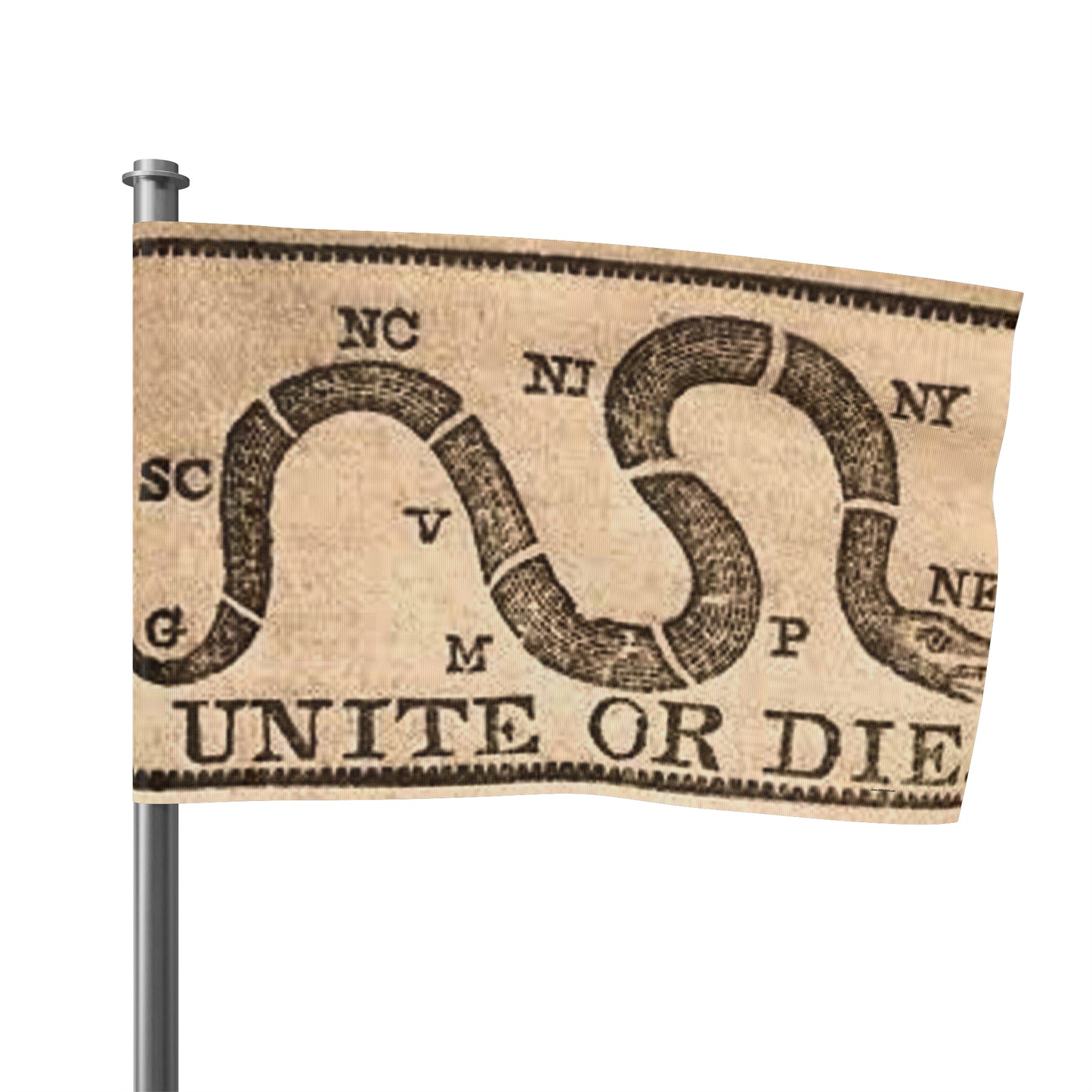 We The People Flag - Unite or Die