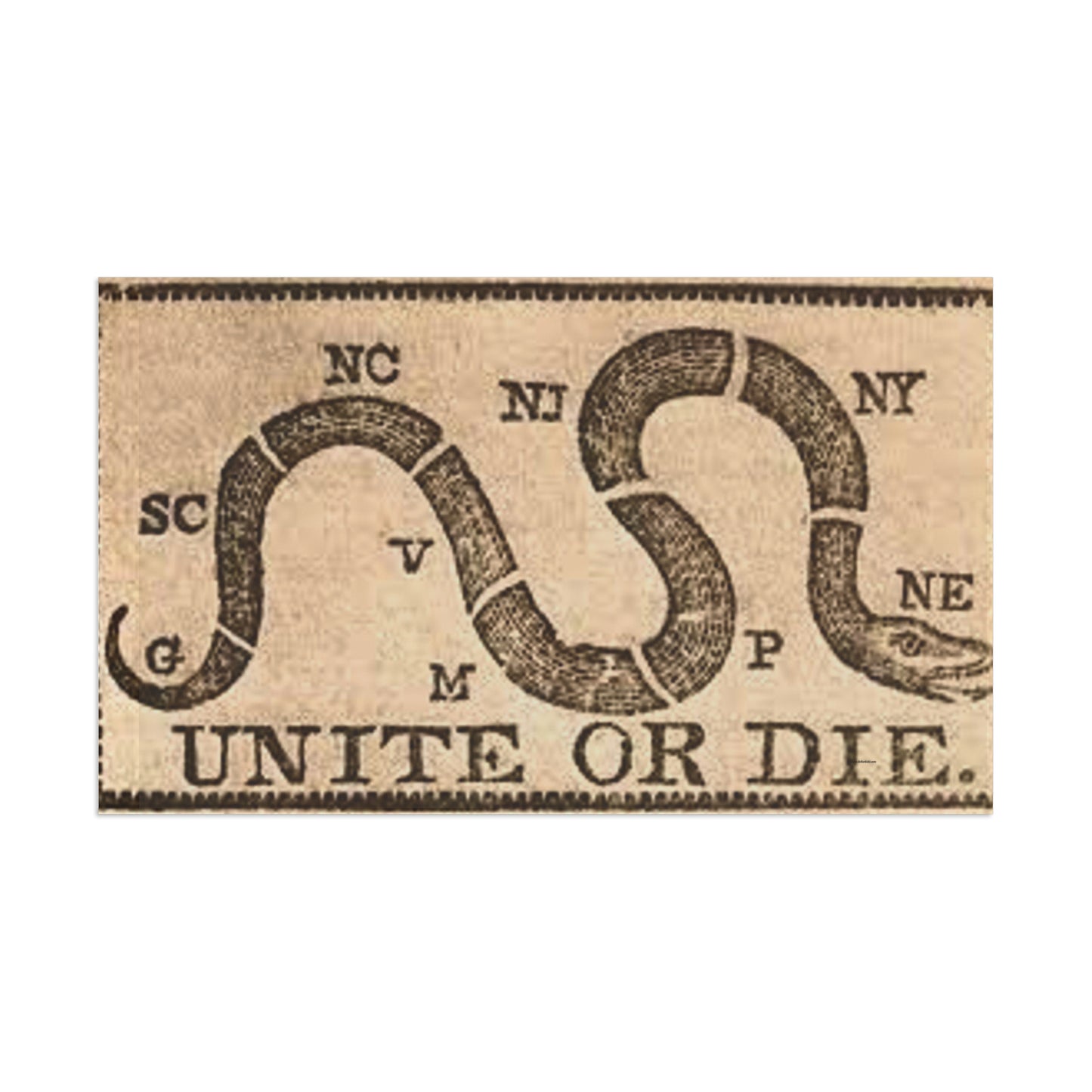 We The People Flag - Unite or Die